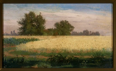 Landschaft mit Weizenfeld